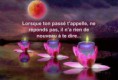 /album/citation/a1000010-686956994659198-447876695-n-jpg/